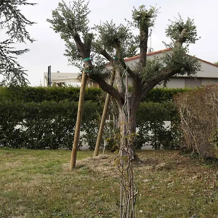 Apartament In - Gardasee 39739 *